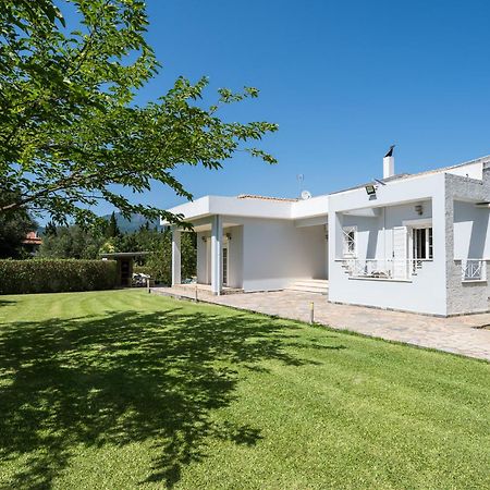 Villa Nefeli With Private Pool By Konnect Дасія Екстер'єр фото
